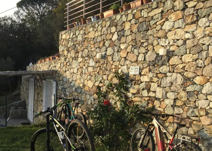 Belvedere20guesthouse