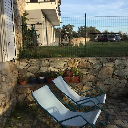 Belvedere20guesthouse