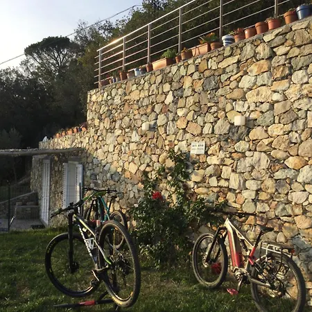 Belvedere20guesthouse